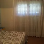 Halifax 3*